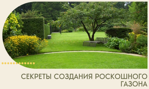 Секреты создания роскошного газона в Первоуральске